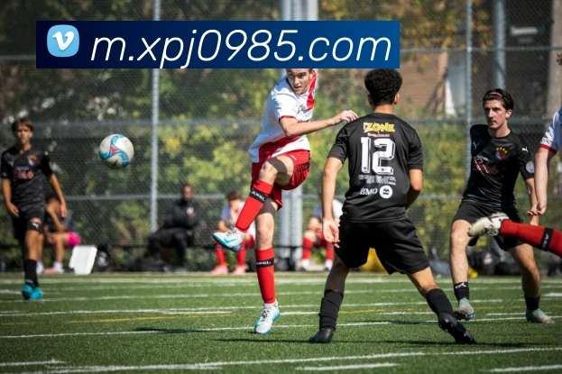 新葡京娱乐场平台生态图