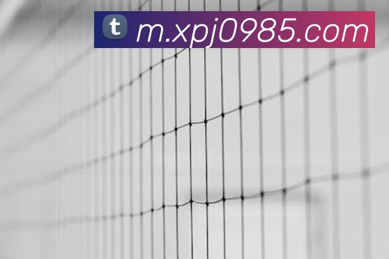 新葡京娱乐场全站App